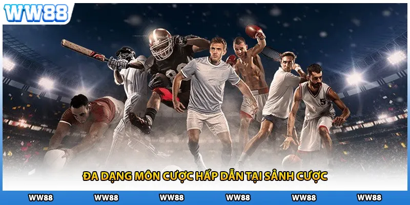 Đa dạng môn cược hấp dẫn tại sảnh cược