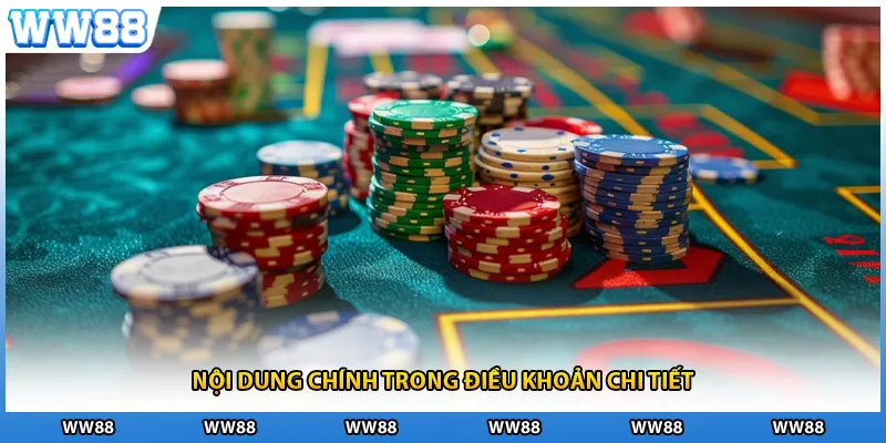Nội dung chính trong điều khoản chi tiết
