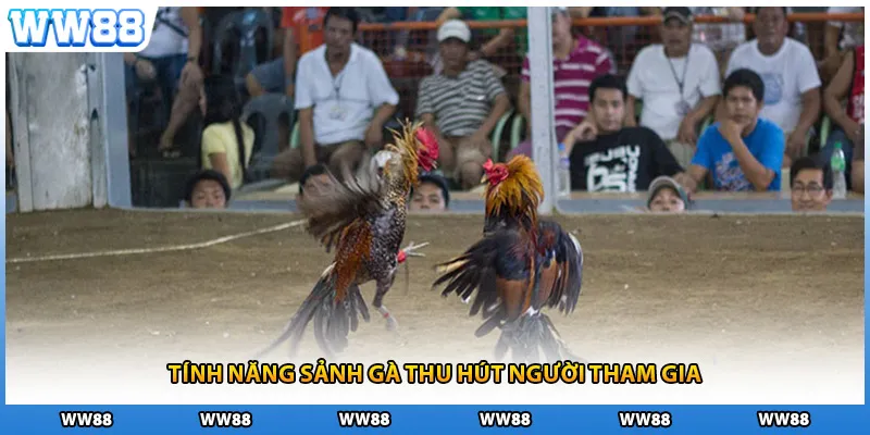 Tính năng sảnh gà thu hút người tham gia