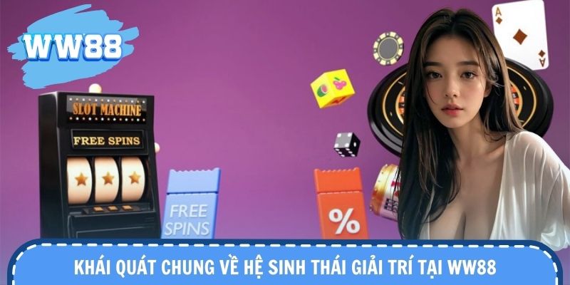 Nền tảng với định hướng ổn định, trải nghiệm bền vững